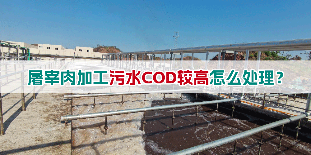 屠宰肉加工污水COD較高怎么處理？